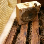 Beekeeping Equipment